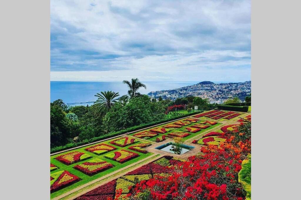 Funchal Center Apartment II Funchal (Madeira) Exterior foto